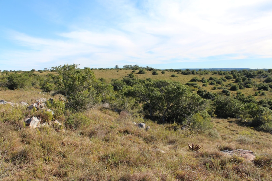 1 Bedroom Property for Sale in Bathurst Rural Eastern Cape